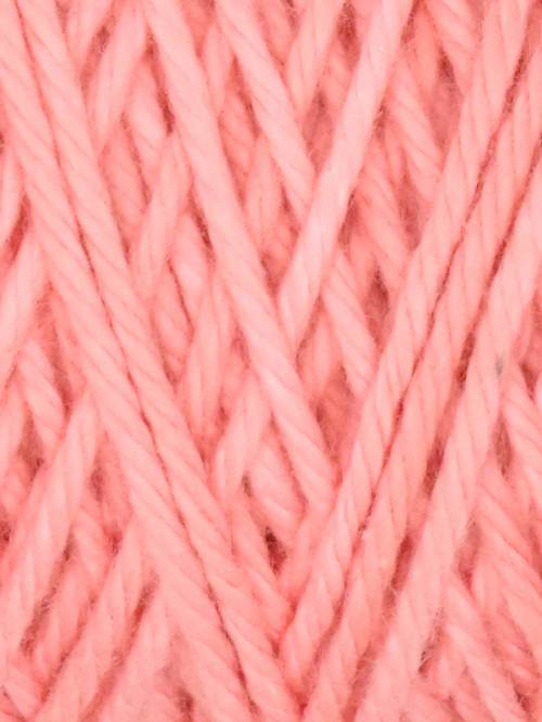 Queensland Coastal Cotton- Carnation