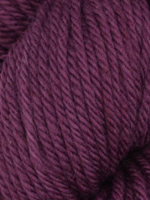 Queensland Falkland Chunky - Celestial