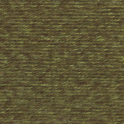 Lion Brand Yarns Heartland - Joshua Tree