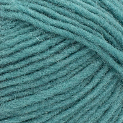 Lion Brand Yarns Wool-Ease Roving Origins - Aqua