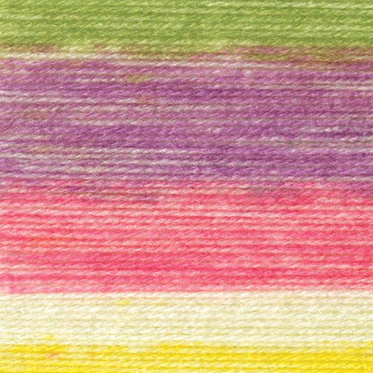 Lion Brand Yarns Baby Soft - Circus Print