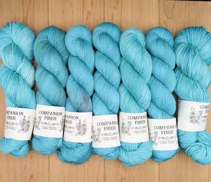 Companion Fiber Yarn - Winter Sky